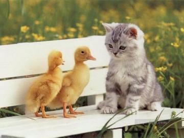 Chat œuvres - chat et canards
